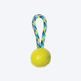 Zeus Fitness TPR & Rope Ball Tug Fetch Dog Toy - Green/Blue