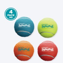 Outward Hound (Nina Ottosson) Squeaker Ballz Fetch Dog Toy