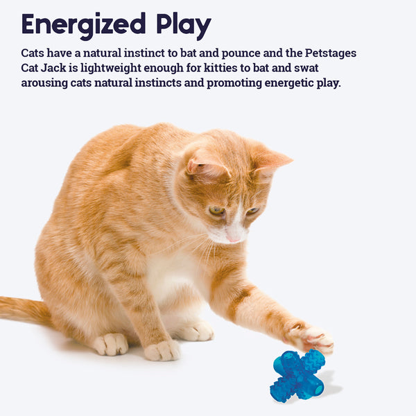 Petstages Jack Catnip Chew Cat Toy - Blue - 6 cm - Image 3