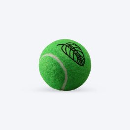 Petsport Tuff Balls Dog Toy - Mint - Pack Of 2