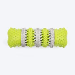 TLC Spiky Rugby Chew Toy For Dog - Green