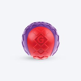 GiGwi Ball Squeaker Dog Toy - Medium (Red/Purple)
