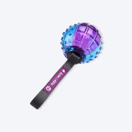 GiGwi Push To Mute Dog Chew Toy - Ball (Transparent) - Blue/Purple