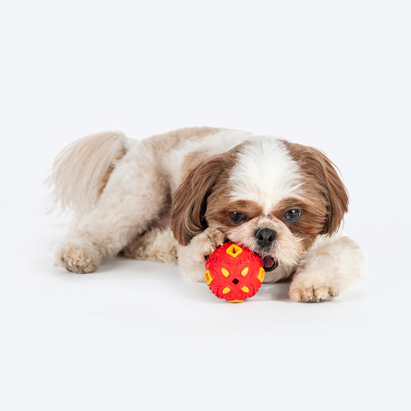 HUFT Chewtastic Eggs-Tra Chew Toy For Dog - Red & Yellow - Image 2