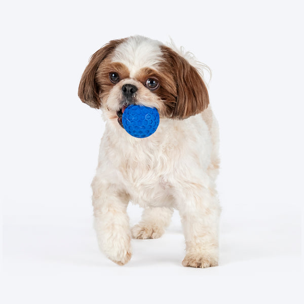 HUFT Chewtastic Playdate Chew Toy For Dog - Blue - Image 2