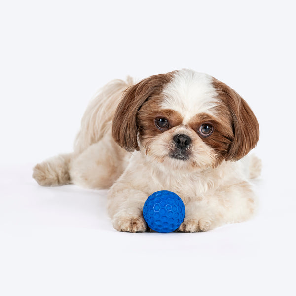 HUFT Chewtastic Playdate Chew Toy For Dog - Blue - Image 3