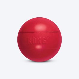 KONG Ball Dog Chew Toy