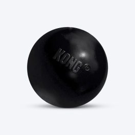 KONG Extreme Ball Dog Chew Toy