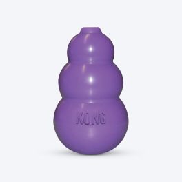 KONG Treat Dispenser Interactive Cat Toy