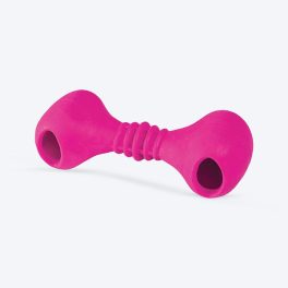 KONG Widgets Pocket Bone Dog Interactive Toy