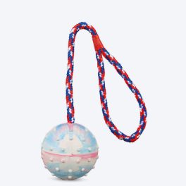 Trixie Ball on Rope Dog Toy - Natural Rubber
