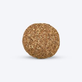 Trixie Catnip Ball with Bell Cat Toy